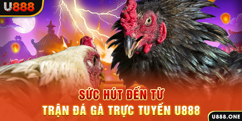32win32 đá gà trực tiếp c1