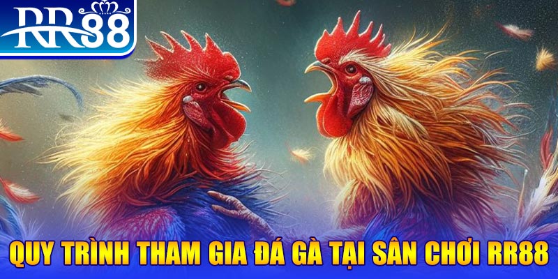 32win32 đá gà cam 67