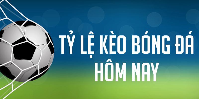 32win32 gà chọi c1 mới nhất