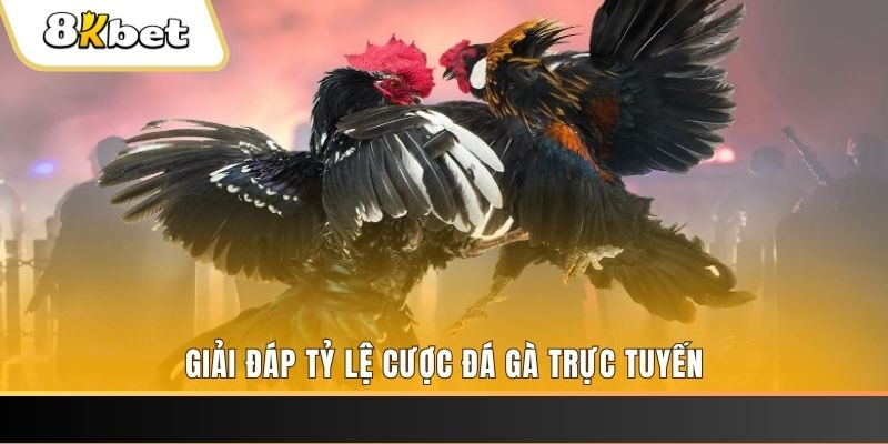 32win32 xổ số đài miền trung
