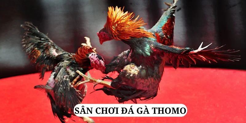 32win32 trực tiếp xổ số miền bắc